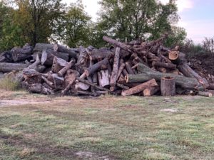 city wood pile