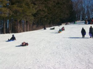 People sledding down snowy hill in winter forest.